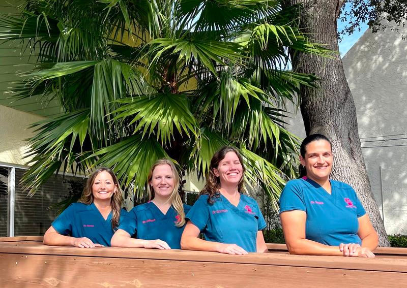 Animal Health Care Clinic Clearwater veterinary hospital